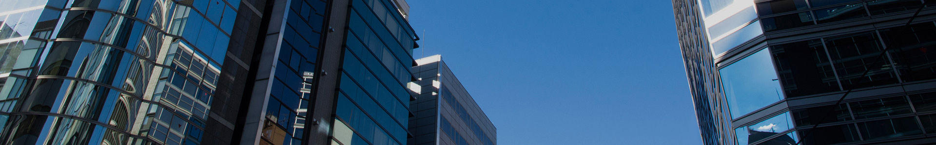 企业草莓视频污片APP